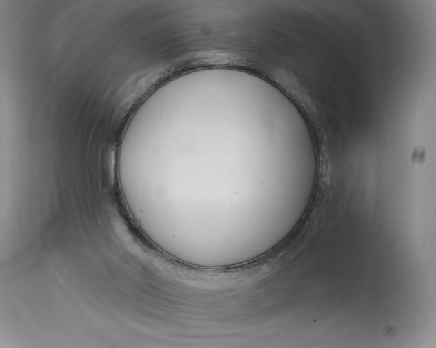 X0000114690014200911121528