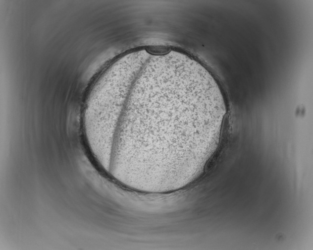 X0000114690015200911121528