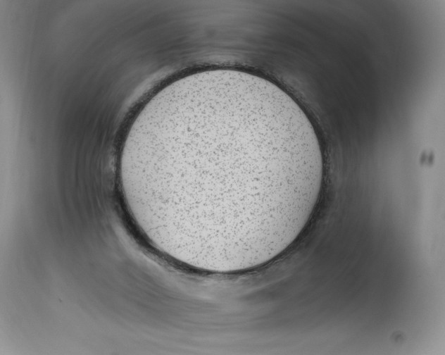 X0000114690016200911121528