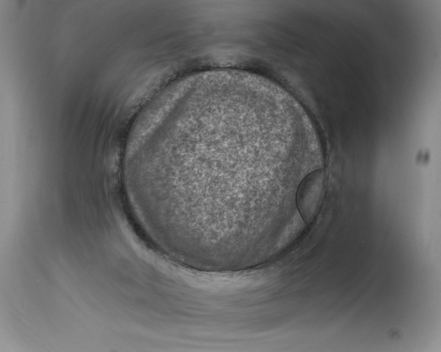 X0000114690018200911121528