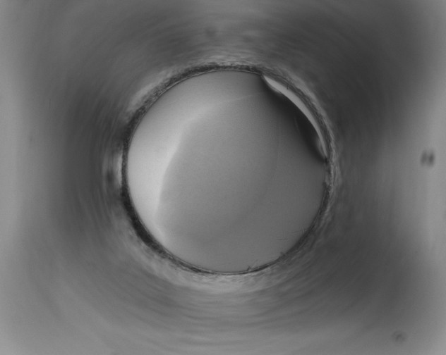 X0000114690019200911121528