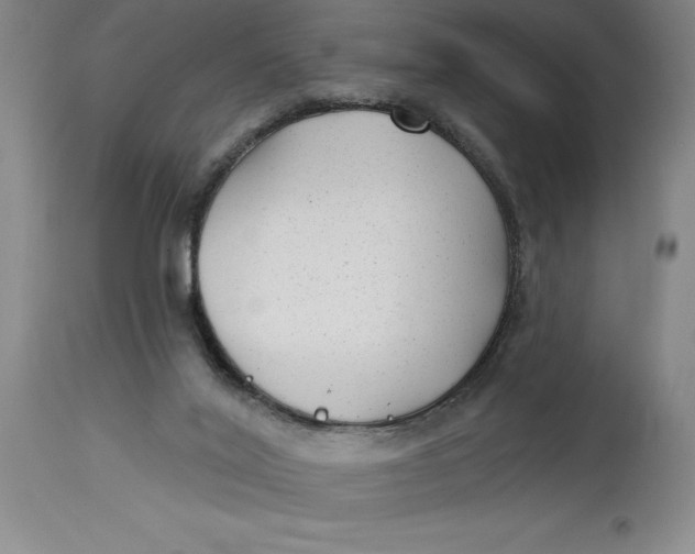 X0000114690020200911121528