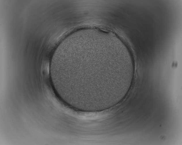 X0000114690021200911121528