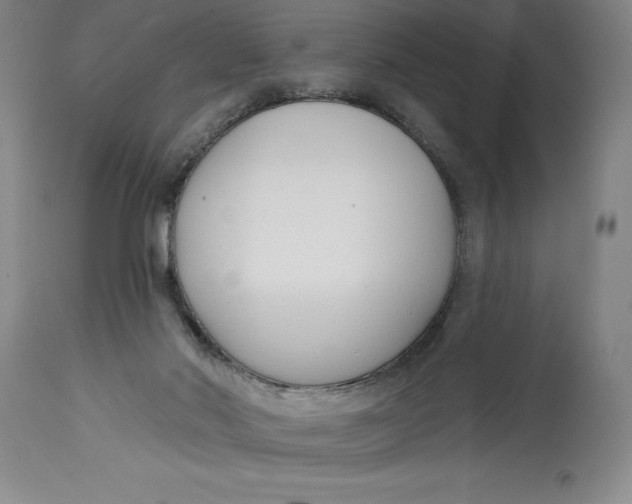 X0000114690022200911121528