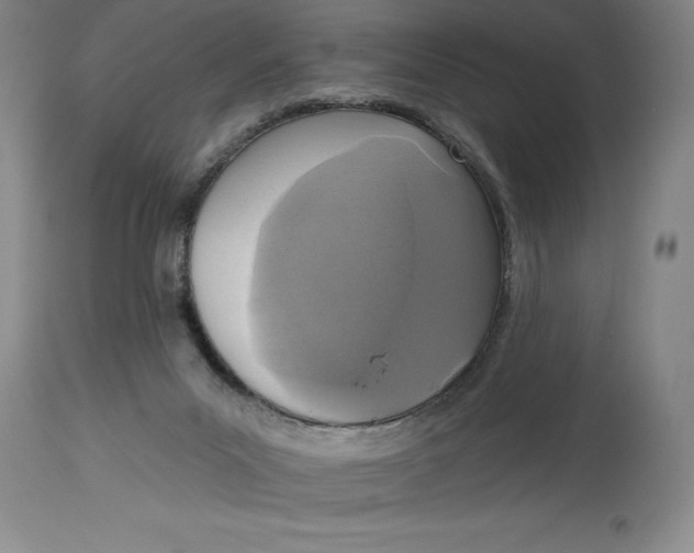 X0000114690023200911121528