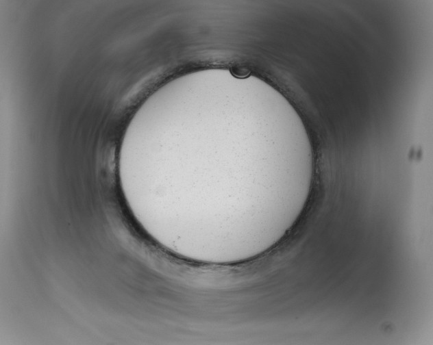 X0000114690024200911121528