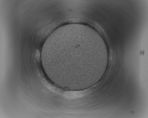 X0000114690025200911121528