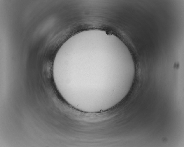 X0000114690026200911121528