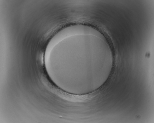 X0000114690027200911121528