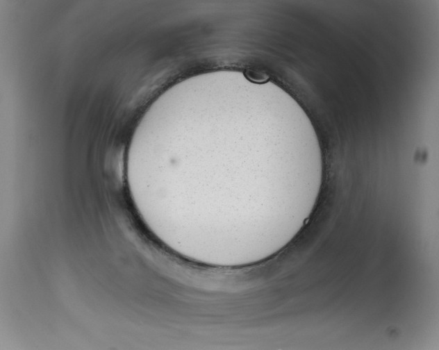 X0000114690028200911121528