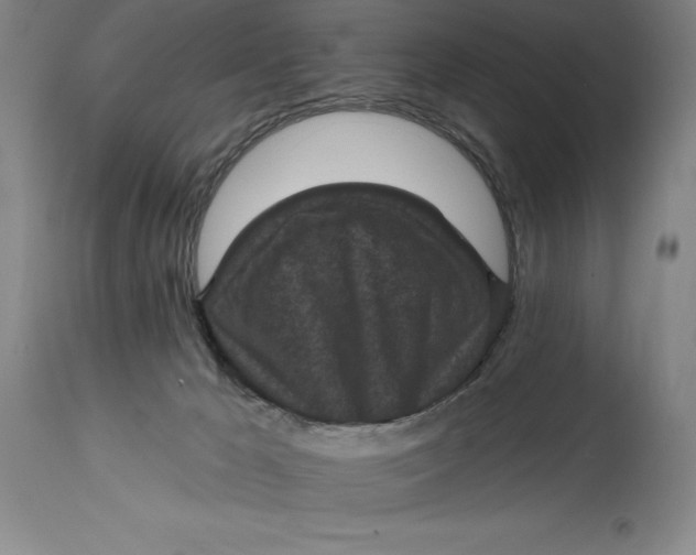 X0000114690029200911121528