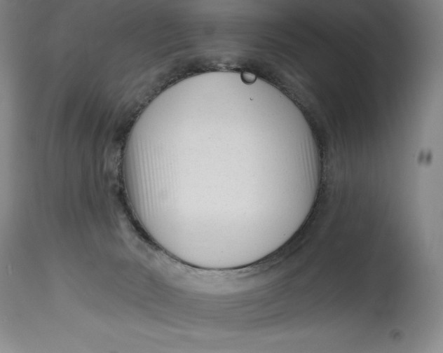 X0000114690030200911121528