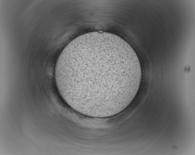 X0000114690032200911121528