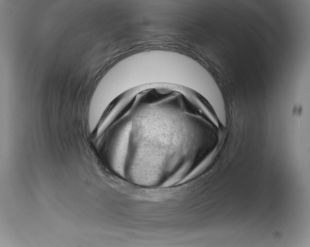 X0000114690033200911121528