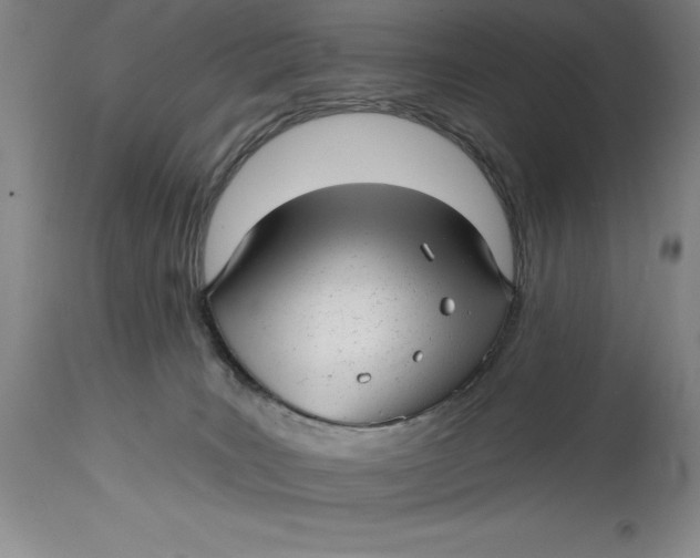 X0000114690035200911121528