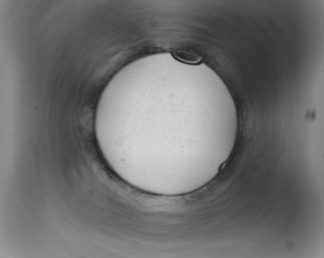 X0000114690036200911121528