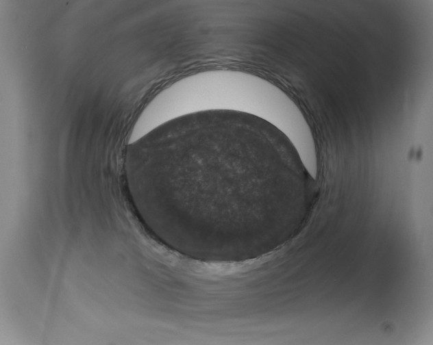 X0000114690037200911121528