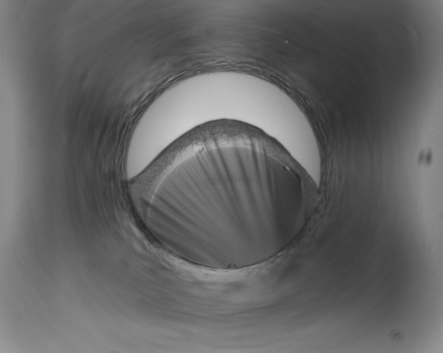 X0000114690039200911121528