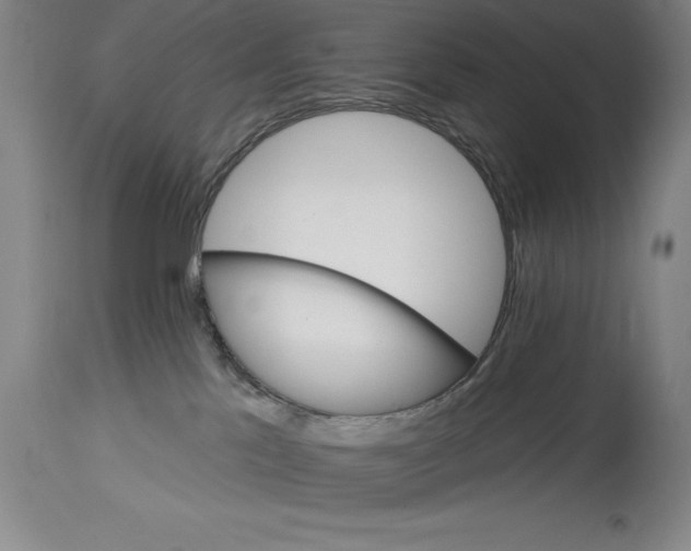 X0000114690041200911121528