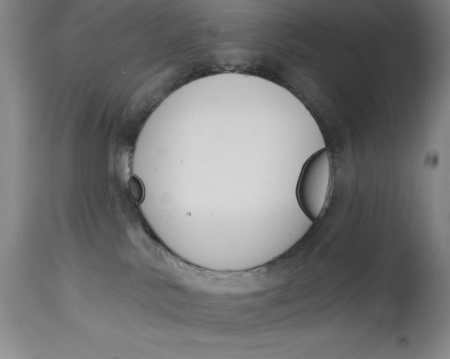 X0000114690042200911121528