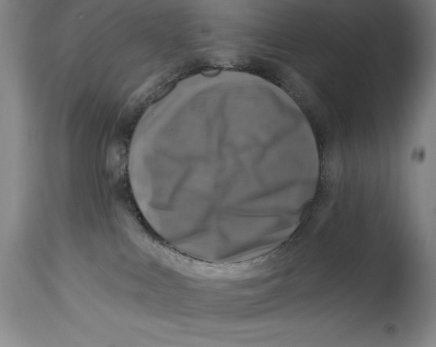 X0000114690043200911121528