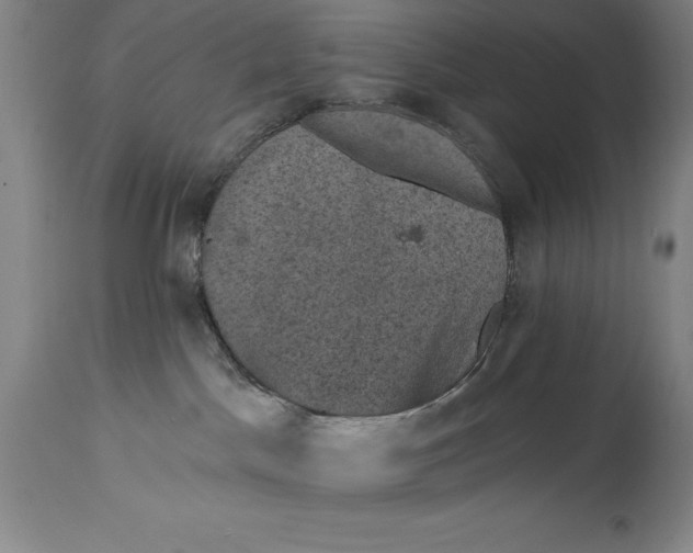 X0000114690045200911121528