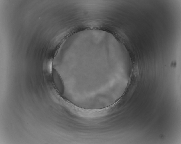 X0000114690047200911121527