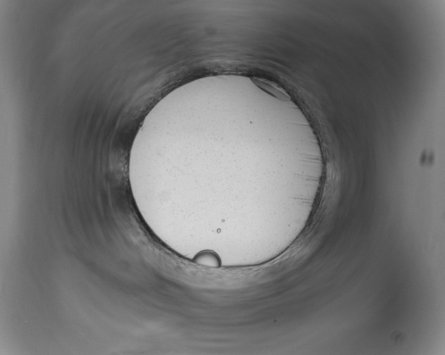 X0000114690048200911121527