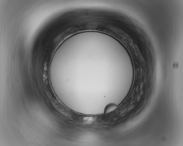 X0000114690050200911121527