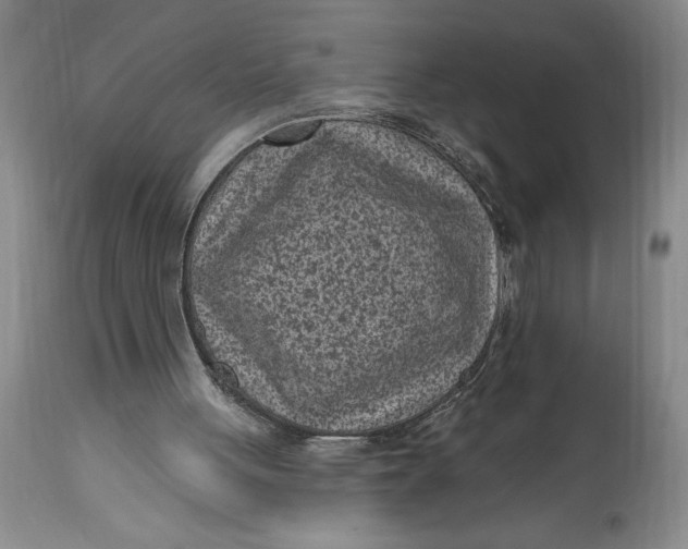 X0000114690051200911121527