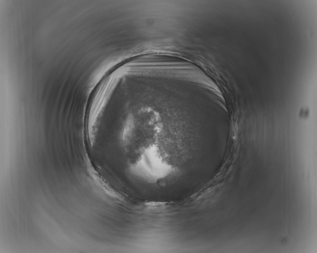 X0000114690052200911121527