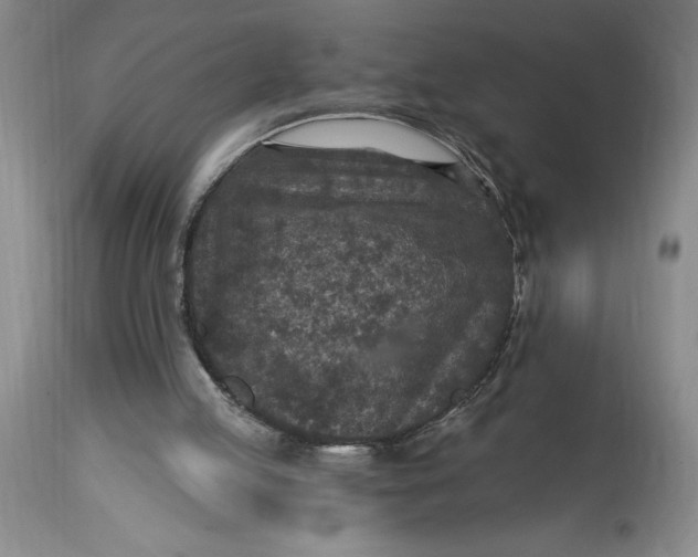 X0000114690053200911121527