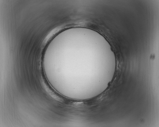 X0000114690054200911121527