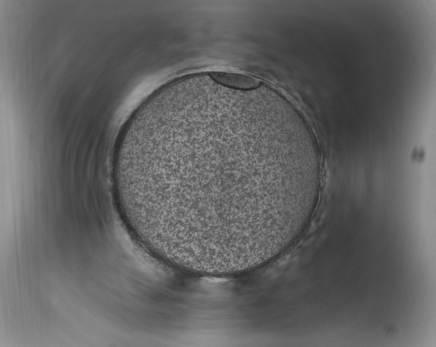 X0000114690055200911121527