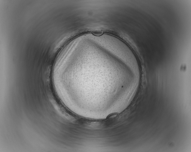 X0000114690058200911121527