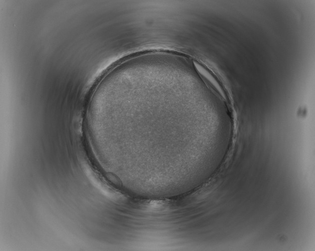 X0000114690060200911121527