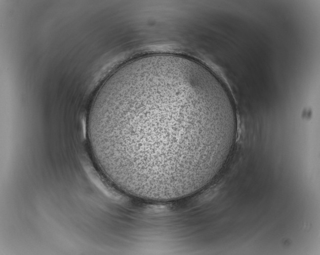 X0000114690061200911121527