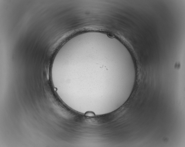 X0000114690062200911121527