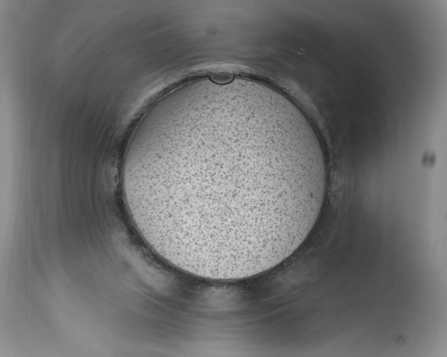 X0000114690063200911121527