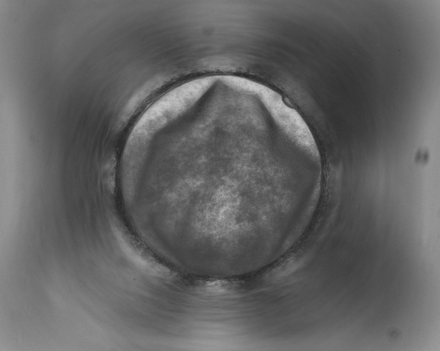 X0000114690064200911121527