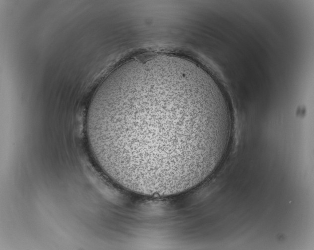 X0000114690065200911121527