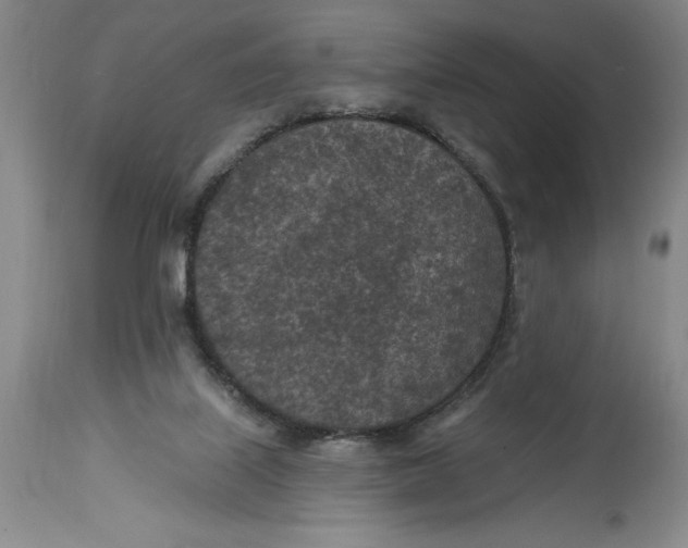 X0000114690067200911121527