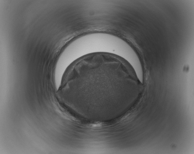 X0000114690068200911121527