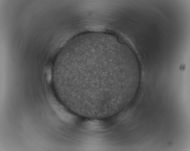 X0000114690069200911121527