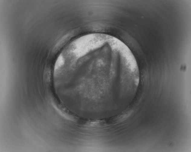 X0000114690072200911121527