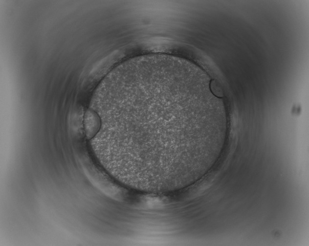 X0000114690073200911121527