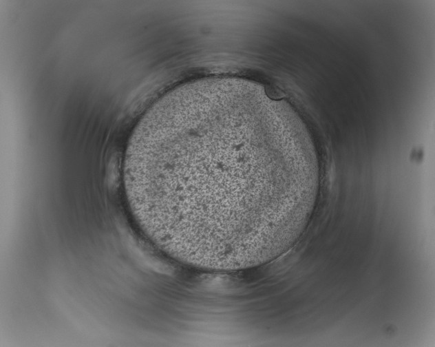 X0000114690074200911121527