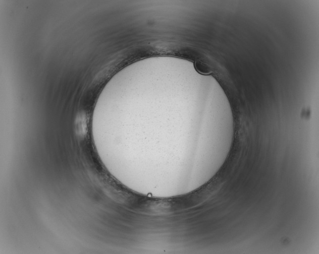 X0000114690075200911121527