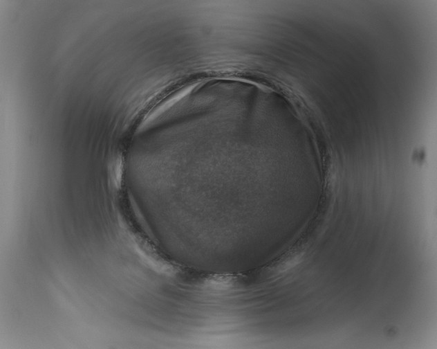 X0000114690076200911121527