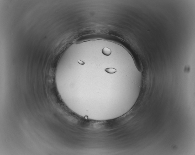 X0000114690078200911121527